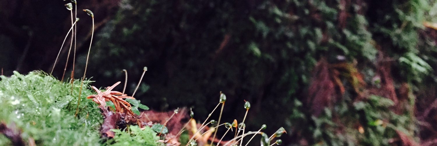 doramickey199's profile banner image