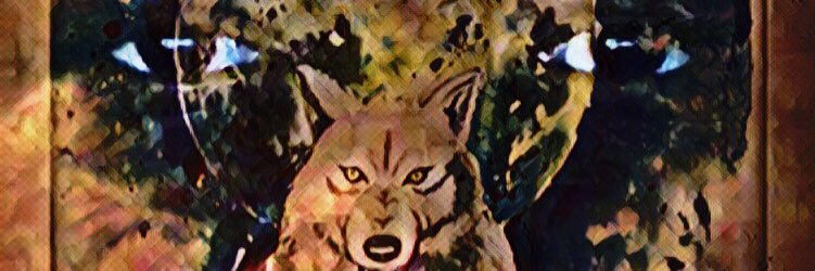 The Digital Visionaries banner