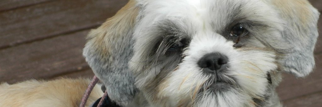 PhilipJ_backman's profile banner image