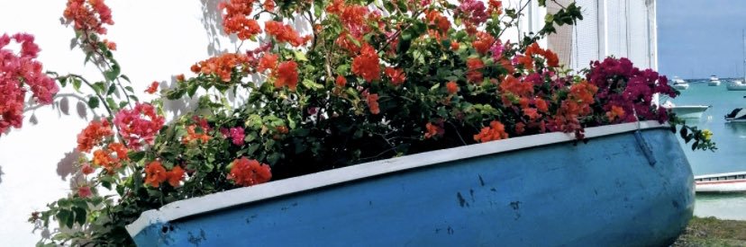 ishaasriv's profile banner image
