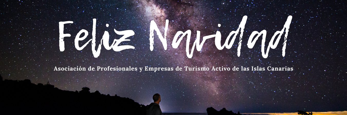 TA Islas Canarias banner