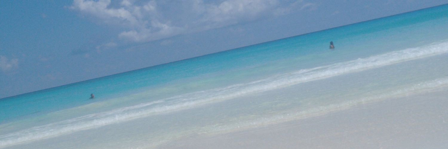 xavert17's profile banner image