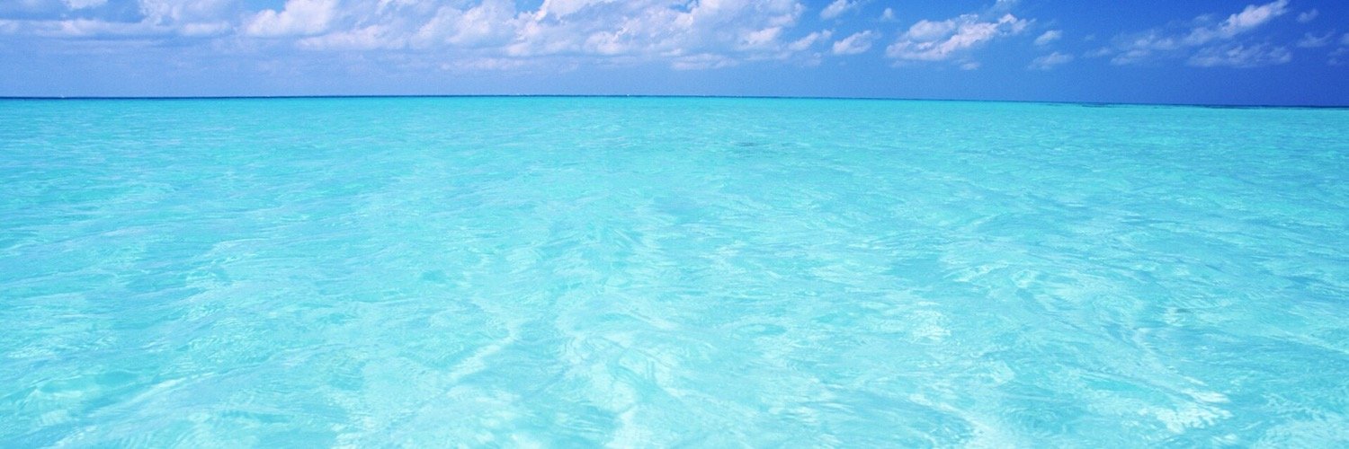 niazneymarbiebs's profile banner image
