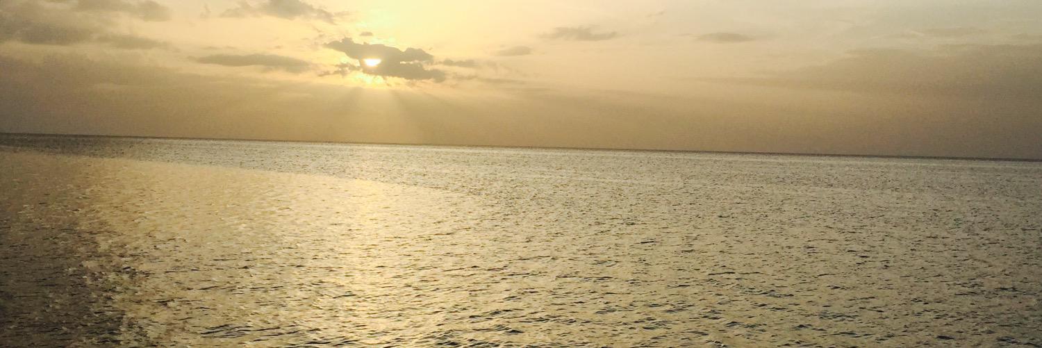 MajoBorges_'s profile banner image
