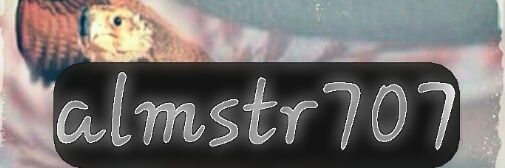 almstr707's profile banner image