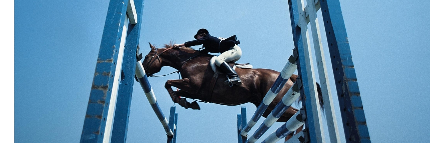 EquineTalk's profile banner image