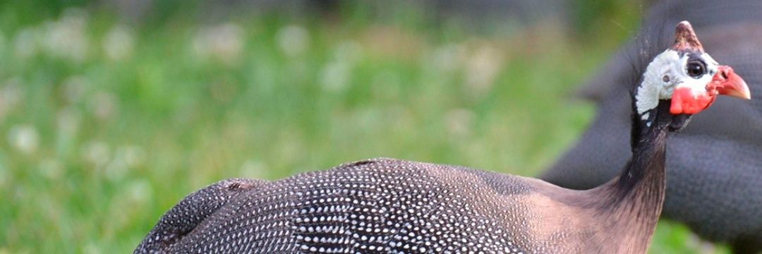 mi nombre no está en blanco.... banner