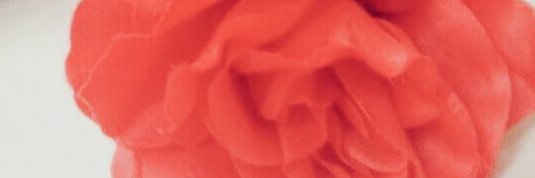 kjranko's profile banner image