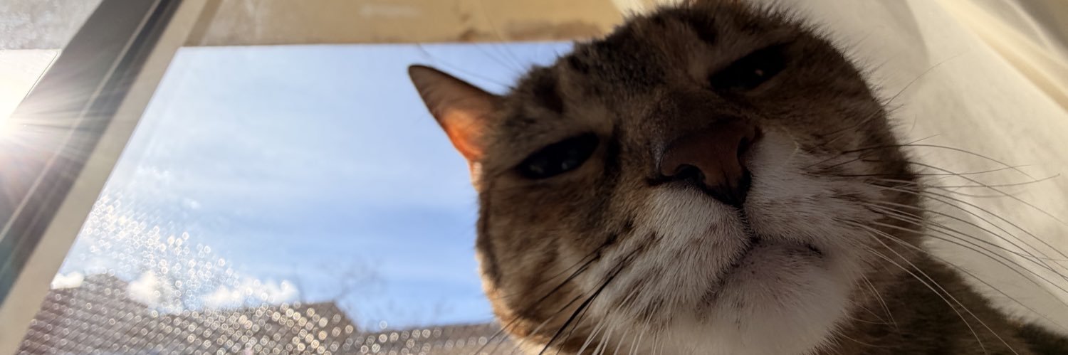 braindisturb's profile banner image