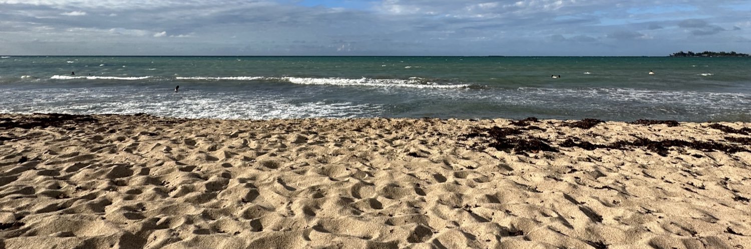 LePlomo's profile banner image