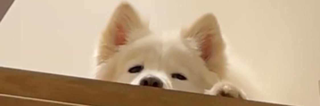 brayprisc's profile banner image
