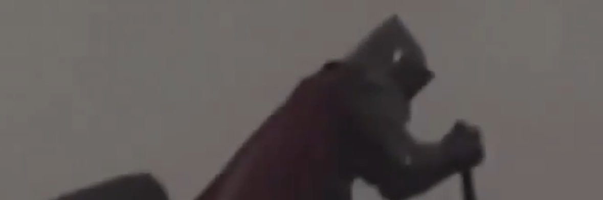 MAILSKI 🏀🐗 banner