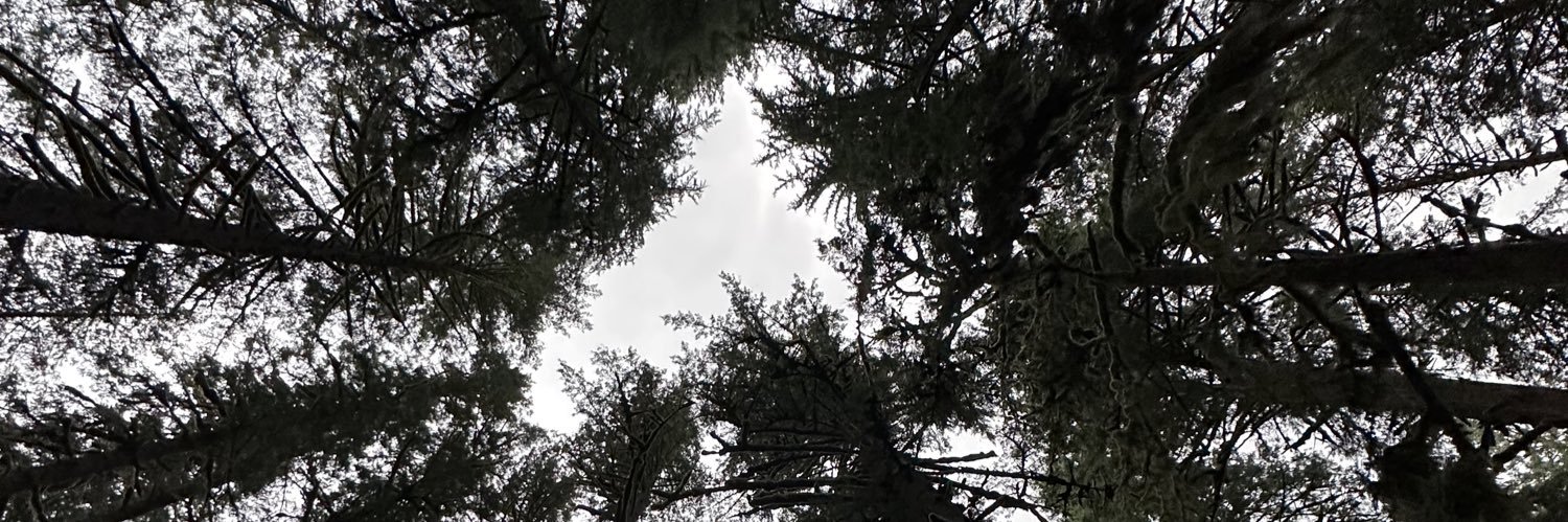 GavinKlein12's profile banner image