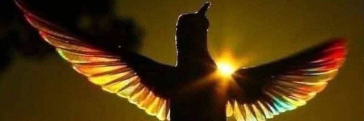 Dr Fernando Mora banner