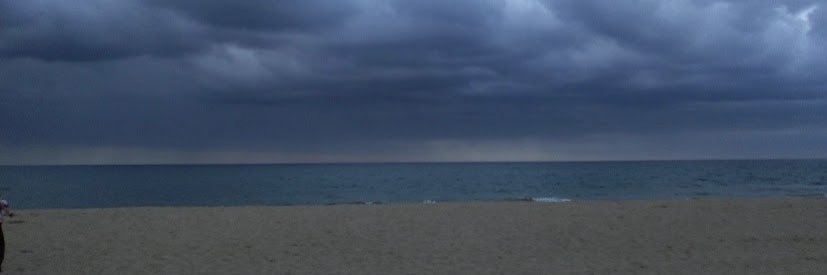 MagdaDevitona's profile banner image