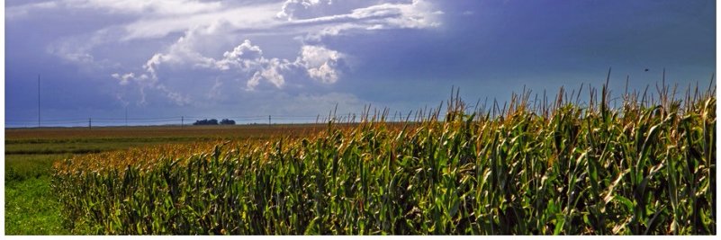 Seward_County's profile banner image