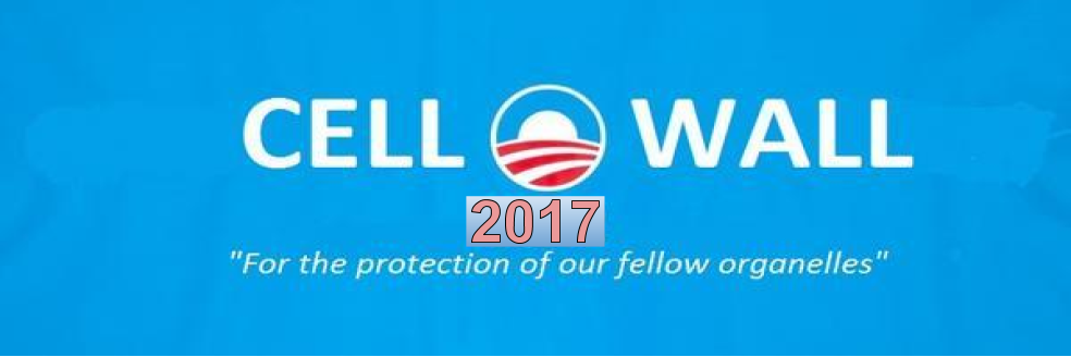 cELLWaLLPRoTeCc's profile banner image
