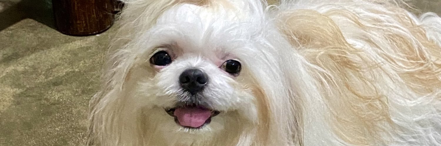 Dabesaur_'s profile banner image