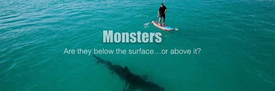 WhiteSharkVideo's profile banner image