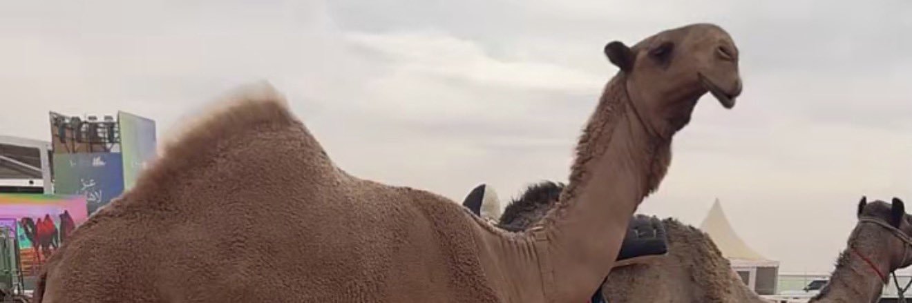 ‏ابـُـꪆمنصـꪆر banner