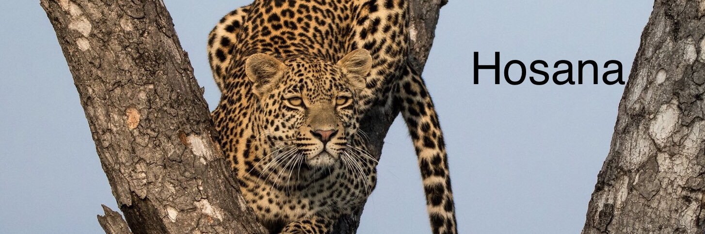 KevKenyon's profile banner image