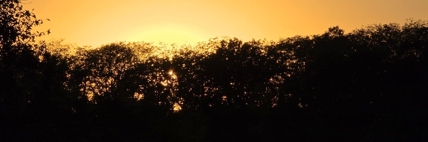Chelsims13's profile banner image