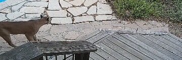 Cassandra Tully banner