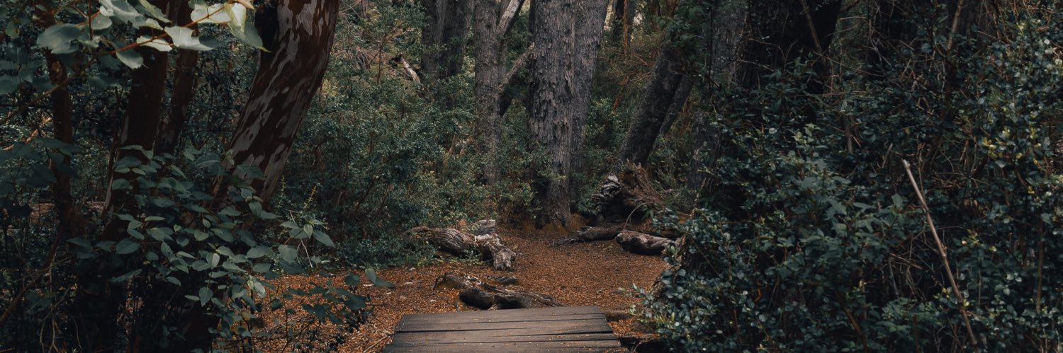 ProLifixxx's profile banner image