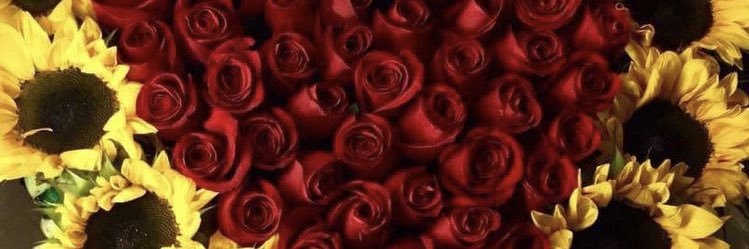 Roseedom's profile banner image
