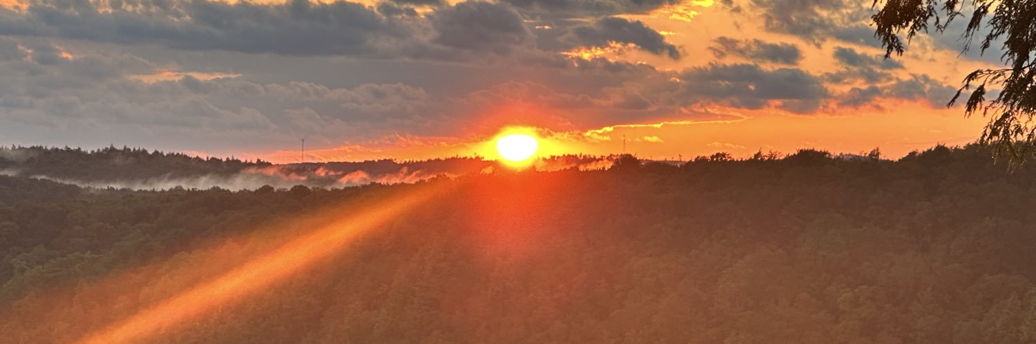 Common Sense DC banner