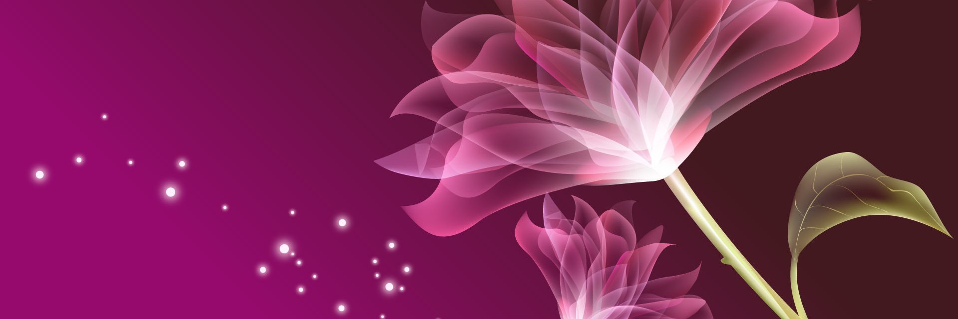 wendswoo's profile banner image