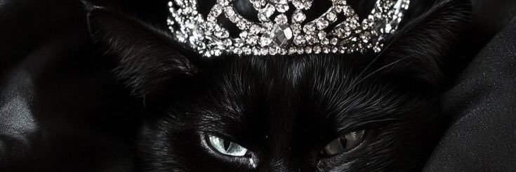 irwmyeter's profile banner image