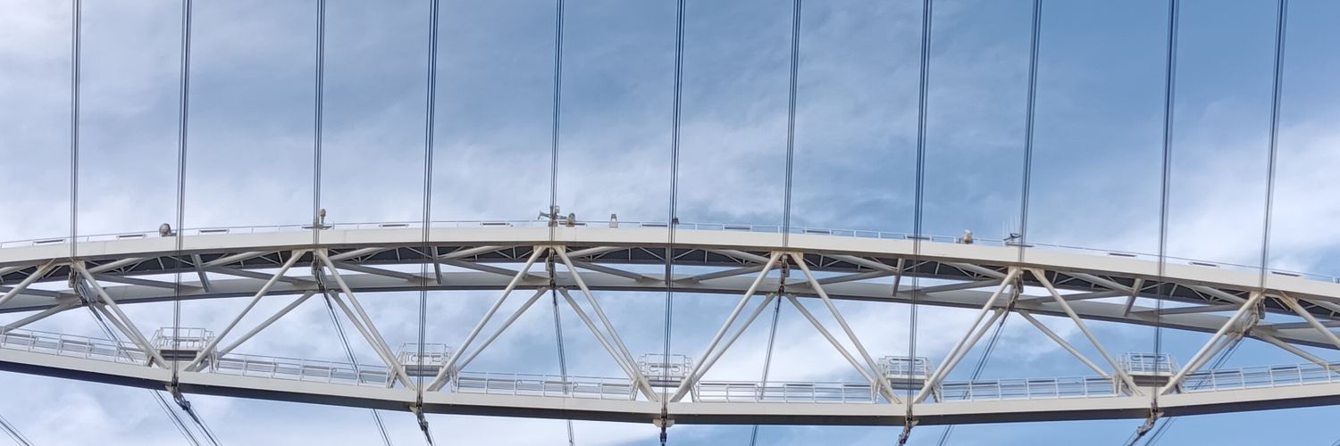 Bear banner