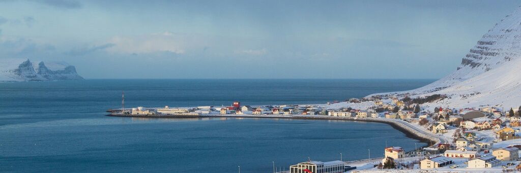 He Who Loves GOATS 🐐 banner