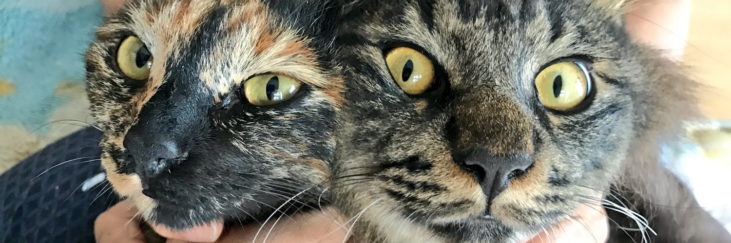 sendmement's profile banner image