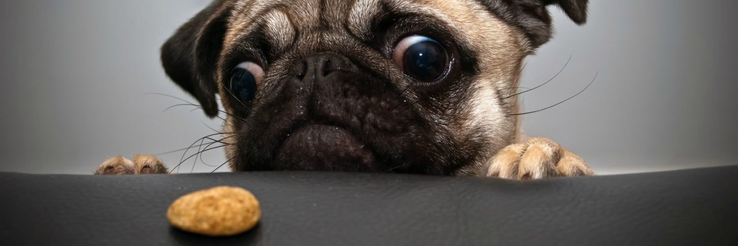 Cgards22's profile banner image