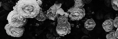 StringBean007's profile banner image