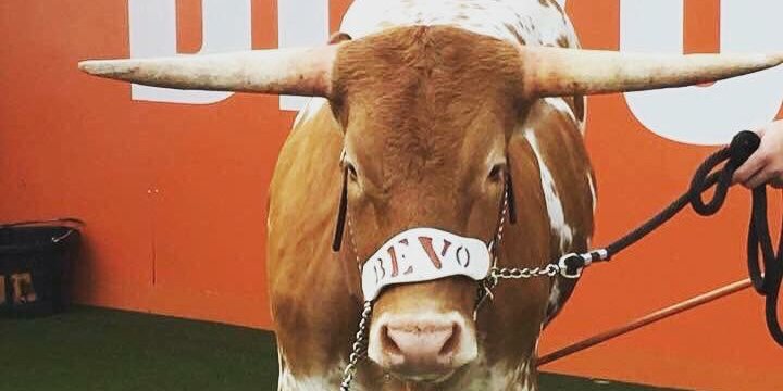 All Brakes No Gas banner