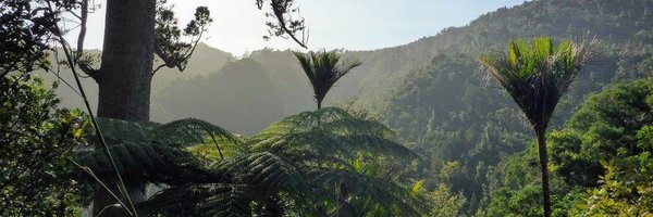 ForestryScience Profile Banner