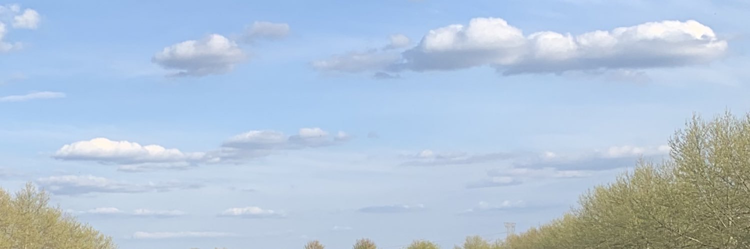 Brad Carriger banner