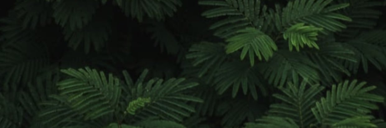 UlisesMatinata's profile banner image