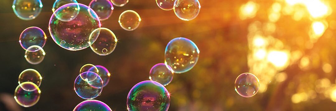 Ms. Flamminii banner