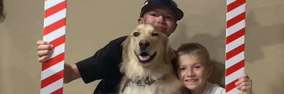BCJ212's profile banner image