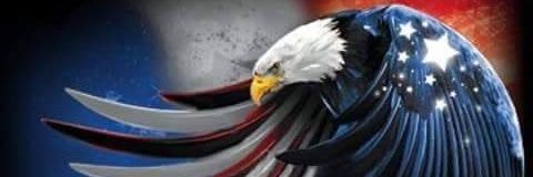 Leann K 🇺🇸🇺🇸 banner