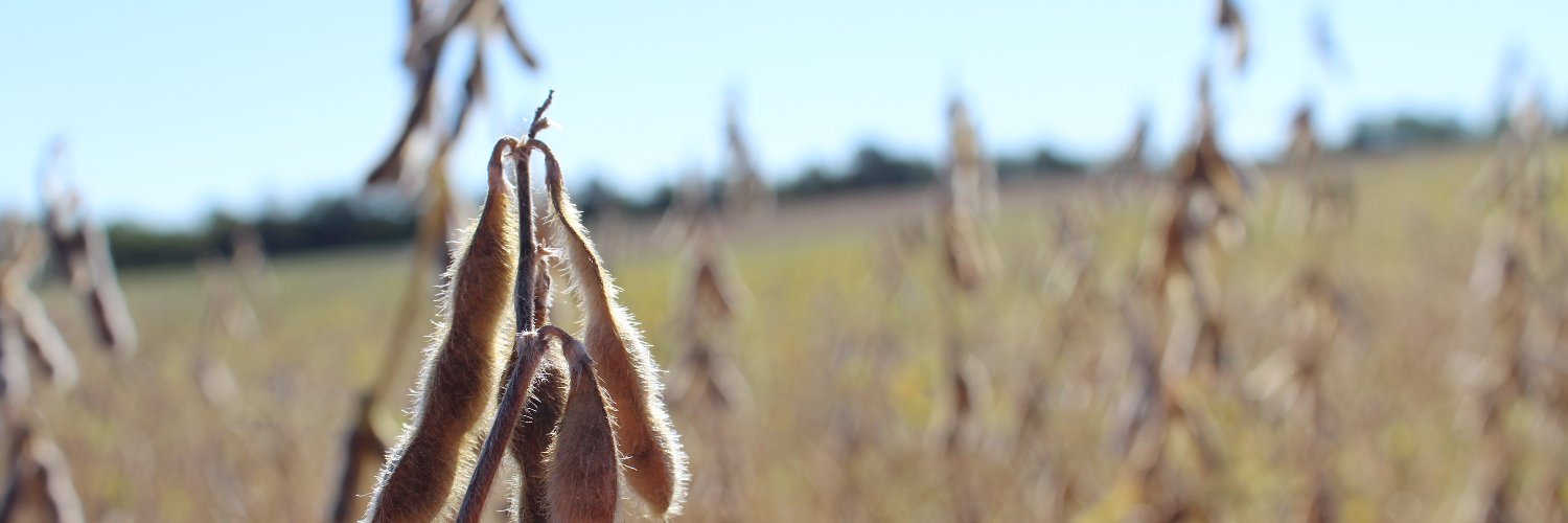 NewLeaf Symbiotics banner