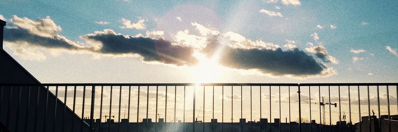 sofiamartin31's profile banner image