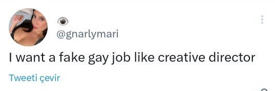 turista do white lotus banner