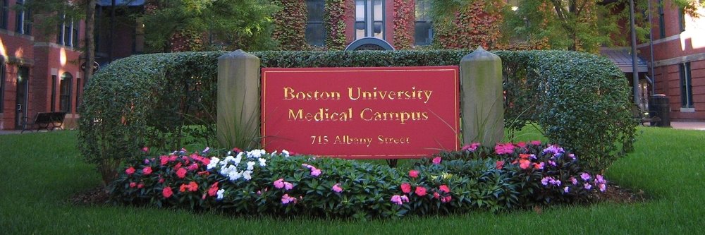 BU Medical banner