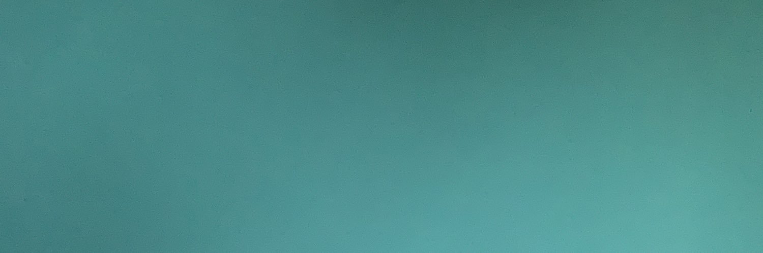 hyzer banner