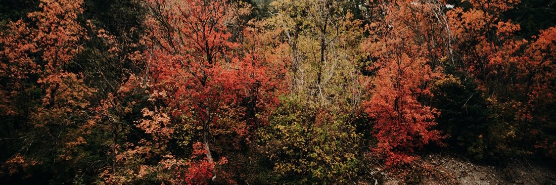 Jenni Frye banner